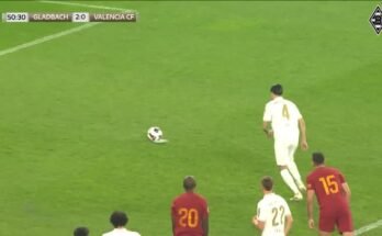 videoviesti