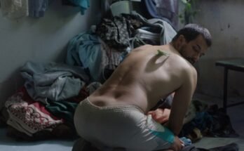 Dane Komljen "Désir Lines", pää Locarno -kilpailun kilpailija