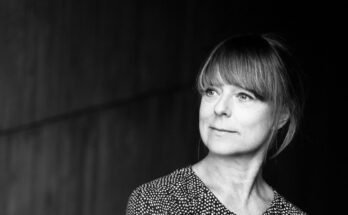 `` Älä anna aurinkoa '' Jacqueline Zünd, vangitsee ilmastonmuutoksen julman lämmön