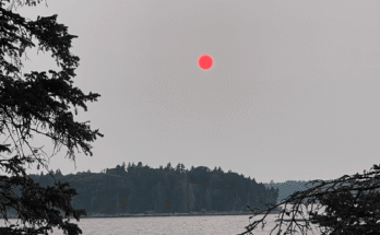 Kuva voi sisältää luonnon luonteen kuun kuun tähtitieteen ulkopuolella