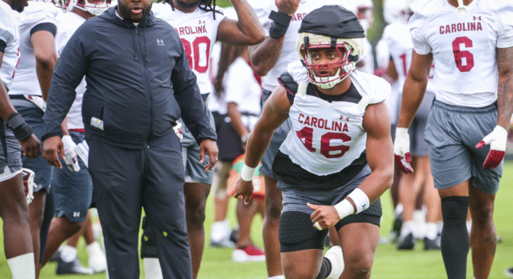 South Carolina RB Oscar Adaway (Photo: CJ Driggers