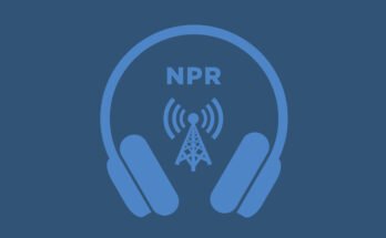 Kuppi aamukahvia tulee liian kalliiksi? Kokeile Yaupon: NPR