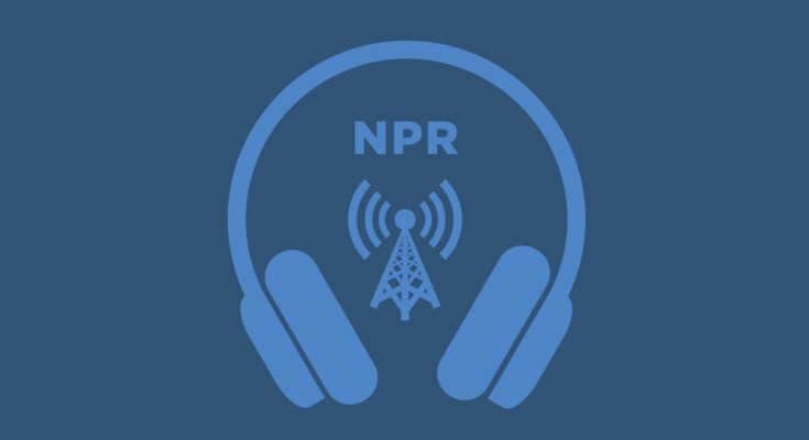 Kuppi aamukahvia tulee liian kalliiksi? Kokeile Yaupon: NPR