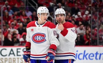 2024-25 Fantasy Hockey Draft Prep: Rekrytoitujen luokan täydellinen pohjamaali; Parhaat valinnat, suosikit ja paljon muuta