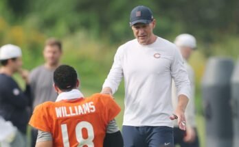 Bears vs delfiinien ennuste: Vapaiden asiantuntijoiden valinta NFL: n esikauden viikolla 1