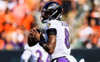 2025 Fantasy Football Rankings Paikkaus: Malli tekee NFL QB: n, WR: n, RB: n, TE: n, Kickerin, puolustuspoiminnan