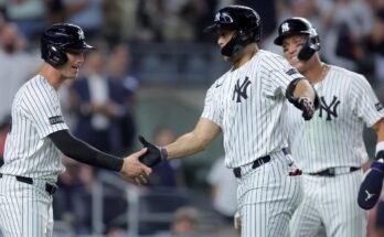 Drawings Free Best Pariisi, kylkiluut 5. elokuuta: Malli paljastaa tiistaina valinnan MLB: n lisäämiseksi, ylennykset