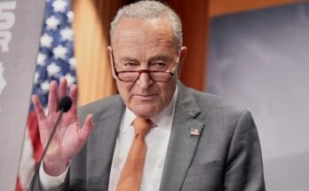 NY -vähemmistön Chuck Schumerin vähemmistön johtaja puhuu hintojen lehdistötilaisuudesta torstaina 31. heinäkuuta 2025 Washingtonissa.