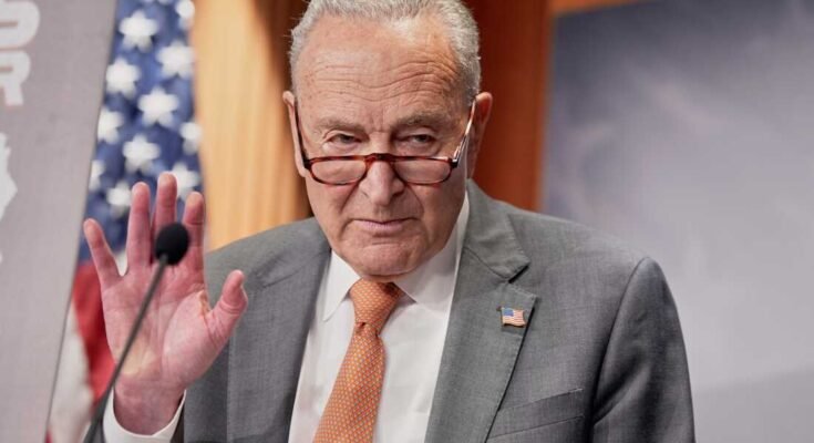 NY -vähemmistön Chuck Schumerin vähemmistön johtaja puhuu hintojen lehdistötilaisuudesta torstaina 31. heinäkuuta 2025 Washingtonissa.