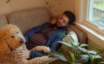 Benjamin Stein-Lobovits, nuori mies, jolla on tummat kiharat hiukset, parta ja lasit, jotka on asetettu sohvalle, joka hyväilee koiransa, lehmän, iso sekoitus beige-villakoiraa.