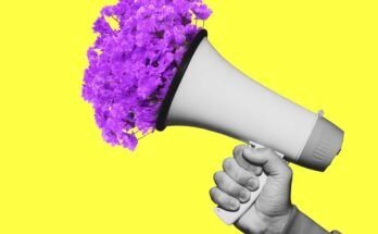 Tämä valokuvakollaasi edustaa mustavalkoisen käden läheistä kättä, jolla on mustavalkoinen megafoni, joka on suunnattu kehyksen vasempaan yläosaan kirkkaan keltaisella taustalla. Loistavat violetit äidit puhkesivat megafonista juhlimaan, viitaten ajatukseen antaa ystävälle tai rakkaalle rohkaisun puhe, kun he tarvitsevat rohkaisua.