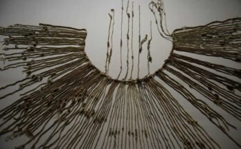 Puuvilla ja kuitu Agave Inca Khipu -tapahtumasta nähdään näyttelyn aikana Smithsonianin kansallismuseossa Intian vuonna 2015 Washington DC: ssä,