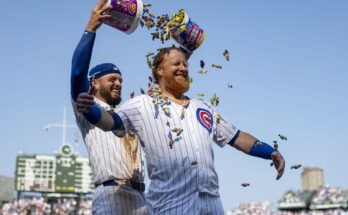 Punaiset Cubs -ennustamisessa: Arvioinnit, asiantuntijoiden valinta, lähtökohdat, Pariisin trendit ja tilastot 4. elokuuta